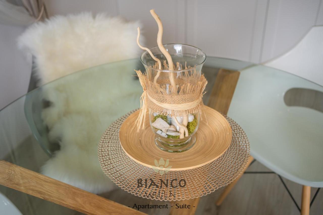 Willa Bianco Zakopane Ngoại thất bức ảnh
