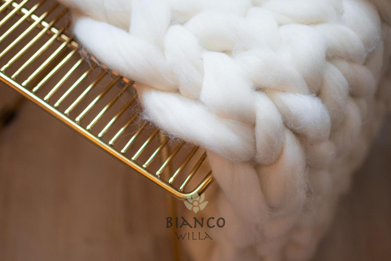 Willa Bianco Zakopane Ngoại thất bức ảnh