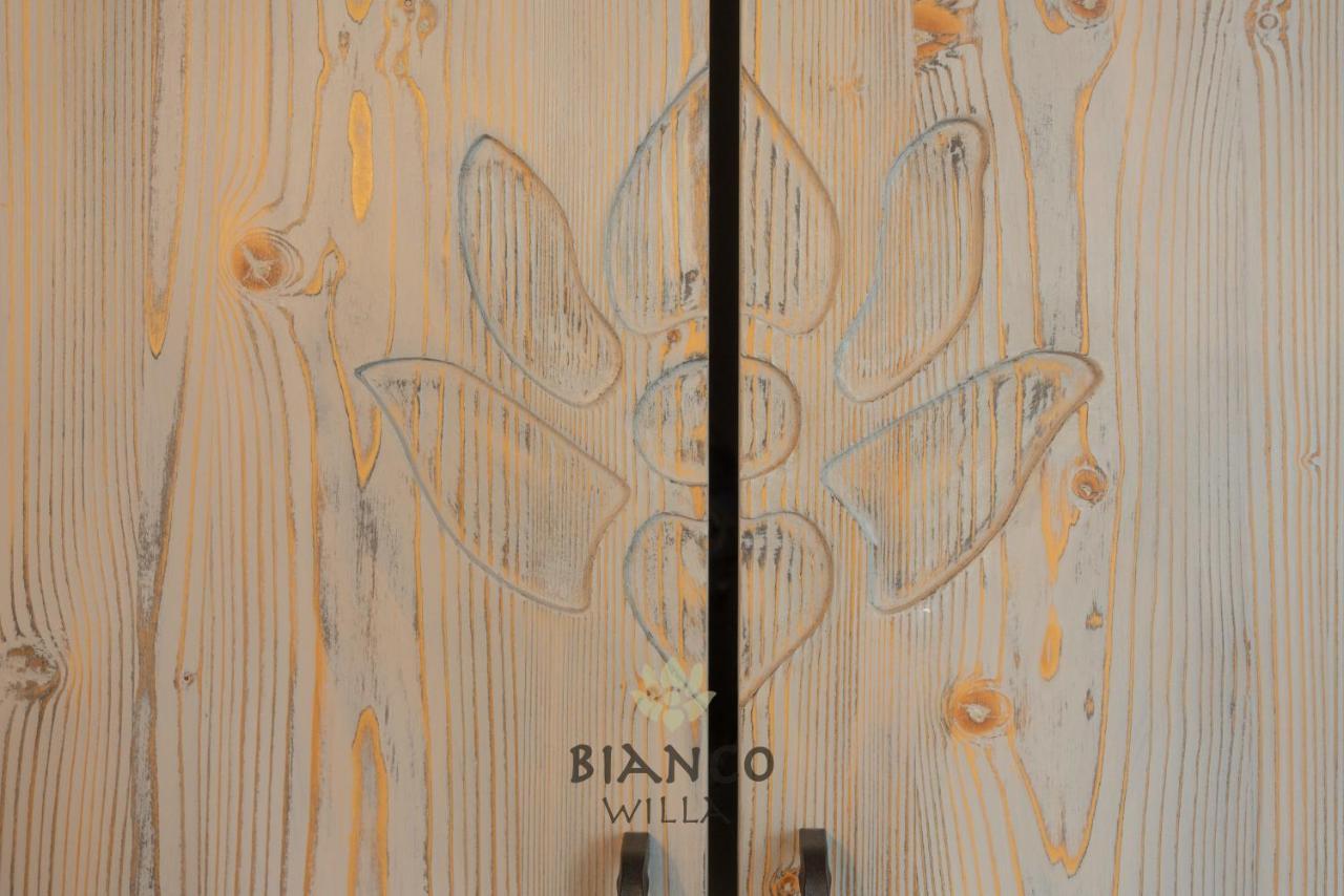 Willa Bianco Zakopane Ngoại thất bức ảnh